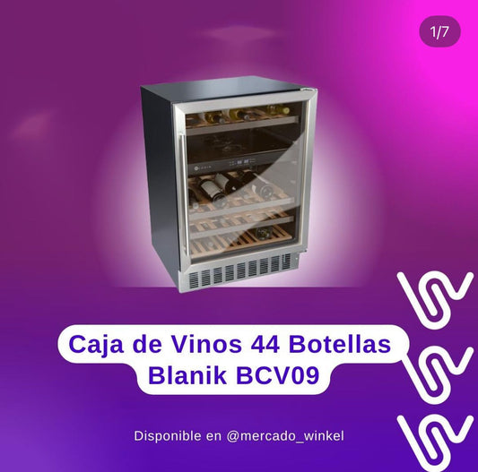 Blanik BCV09